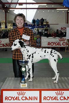 gal/Expo janvier 2005/DSC_4331.jpg